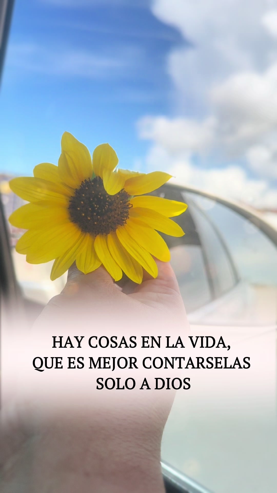 @Arely Quintana