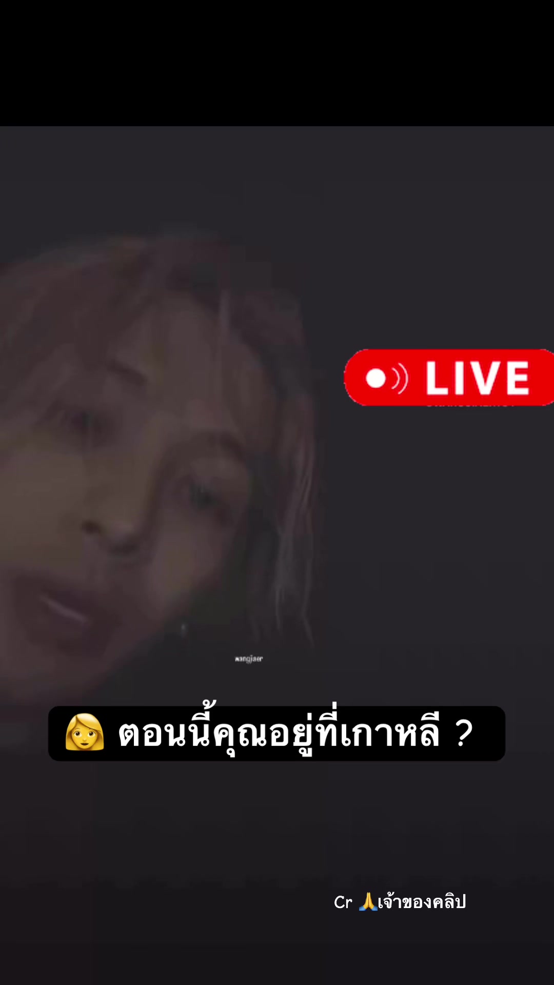 @333_CYJ 💚🦦