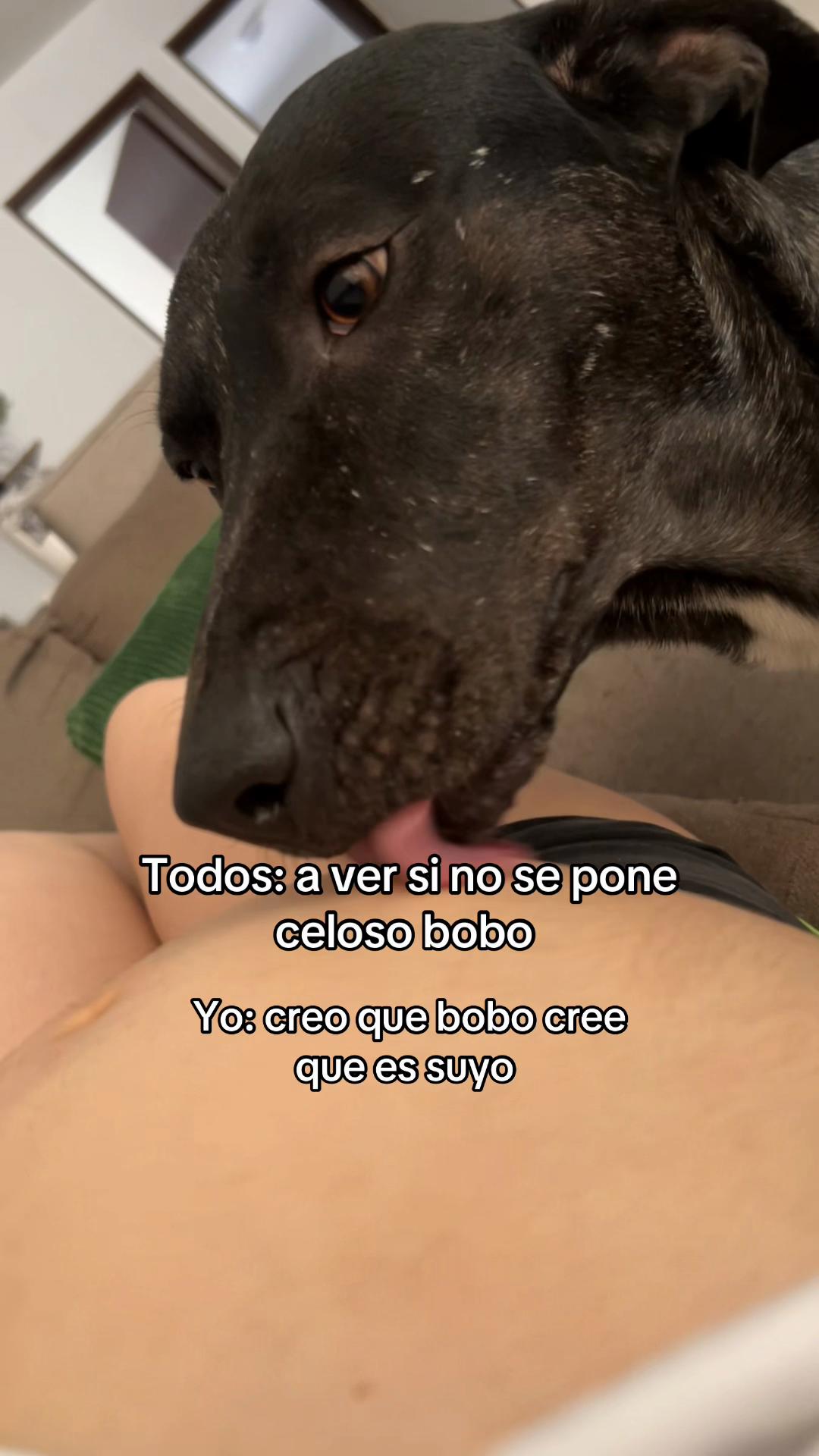 @Karina Picazo