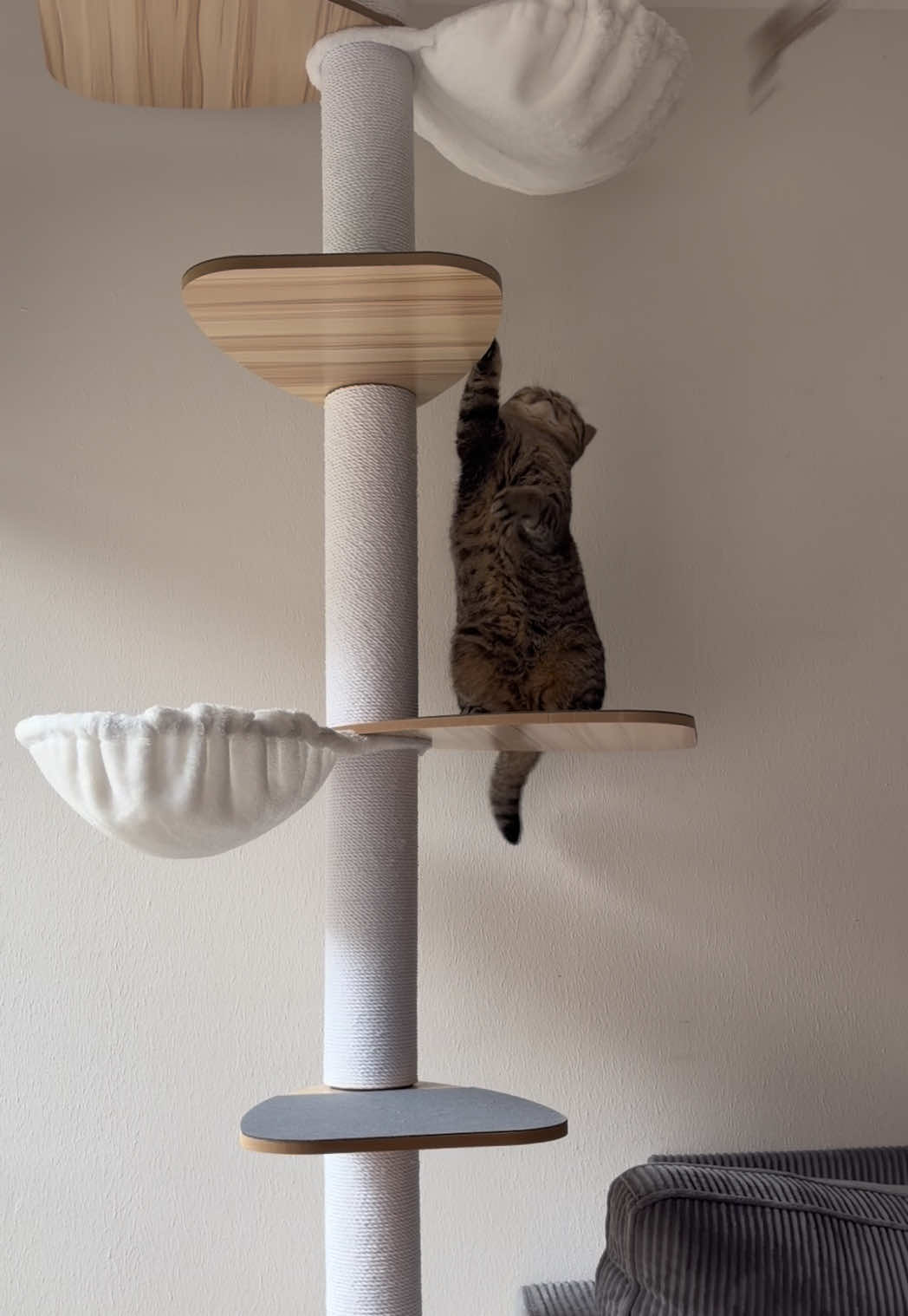 @Sonja_Kitty-Cat