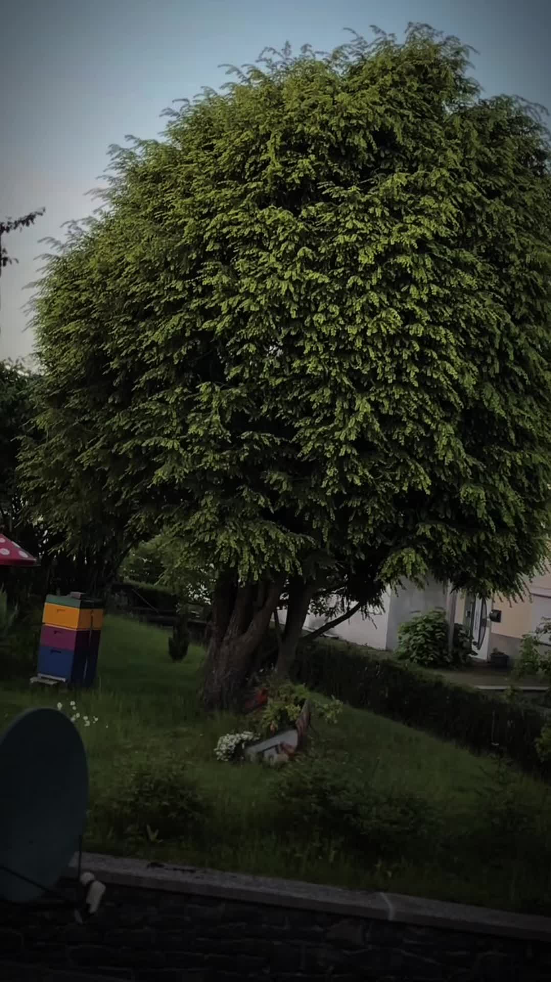 @ɴᴇʀᴠɪɴ|🫀