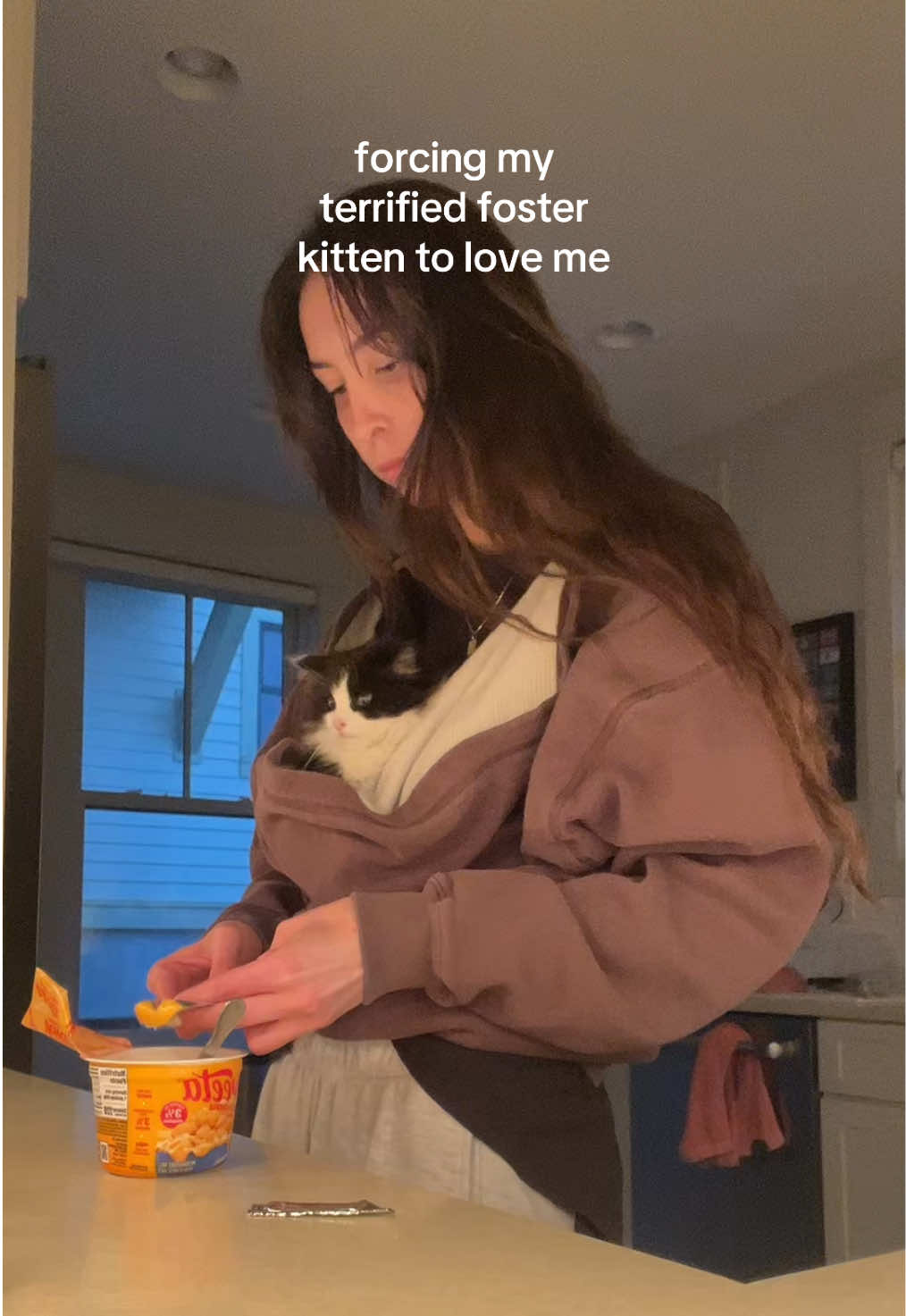 @tiana fosters cats