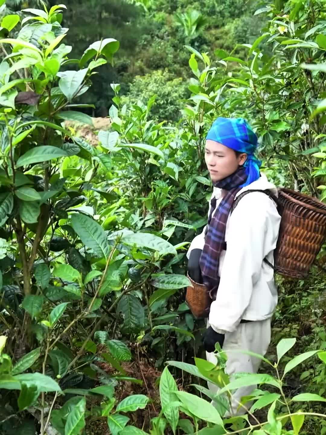 @Topping của tiệm Nui