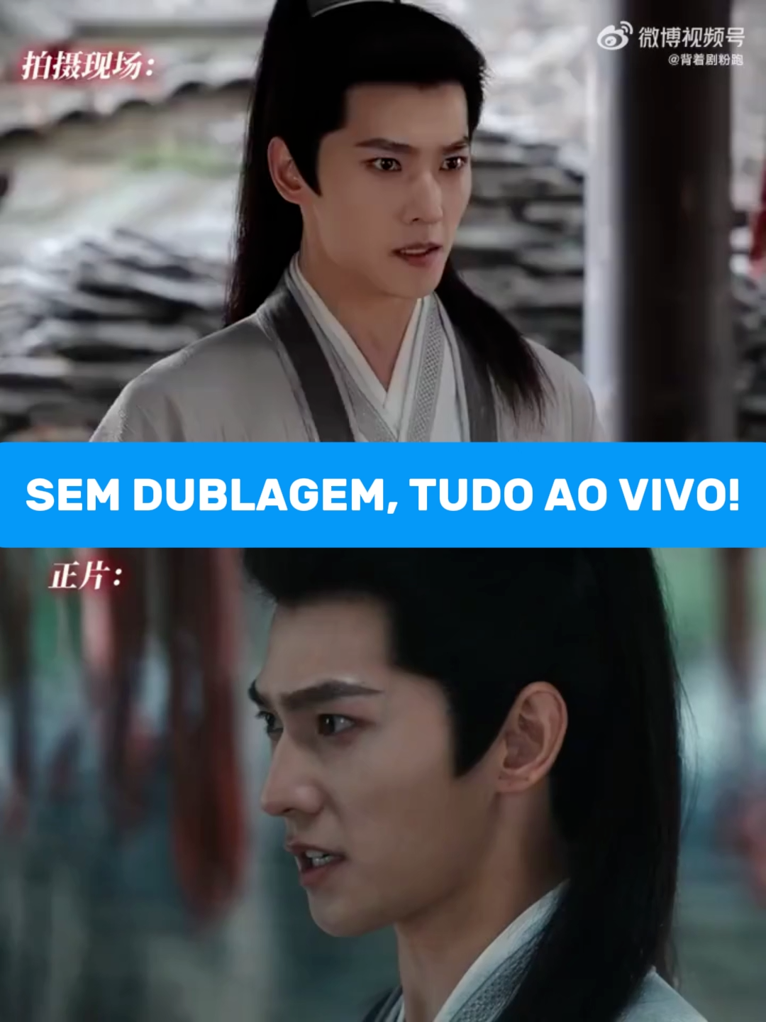 @Yang Yang Brasil