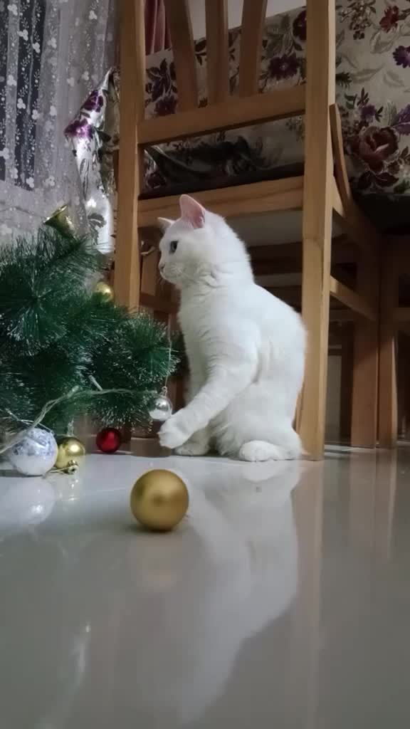@Svetkin2507