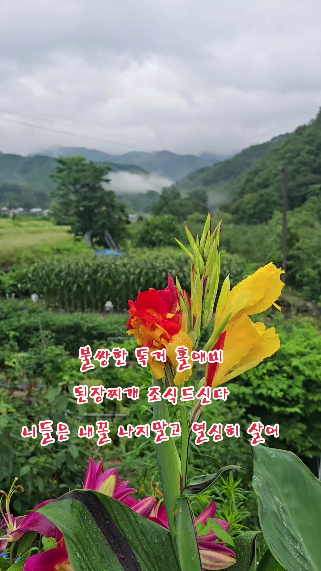 @나는 자연인이다 ~🤪
