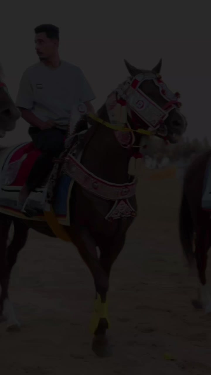 @محمد نافع❤️🔥🐴