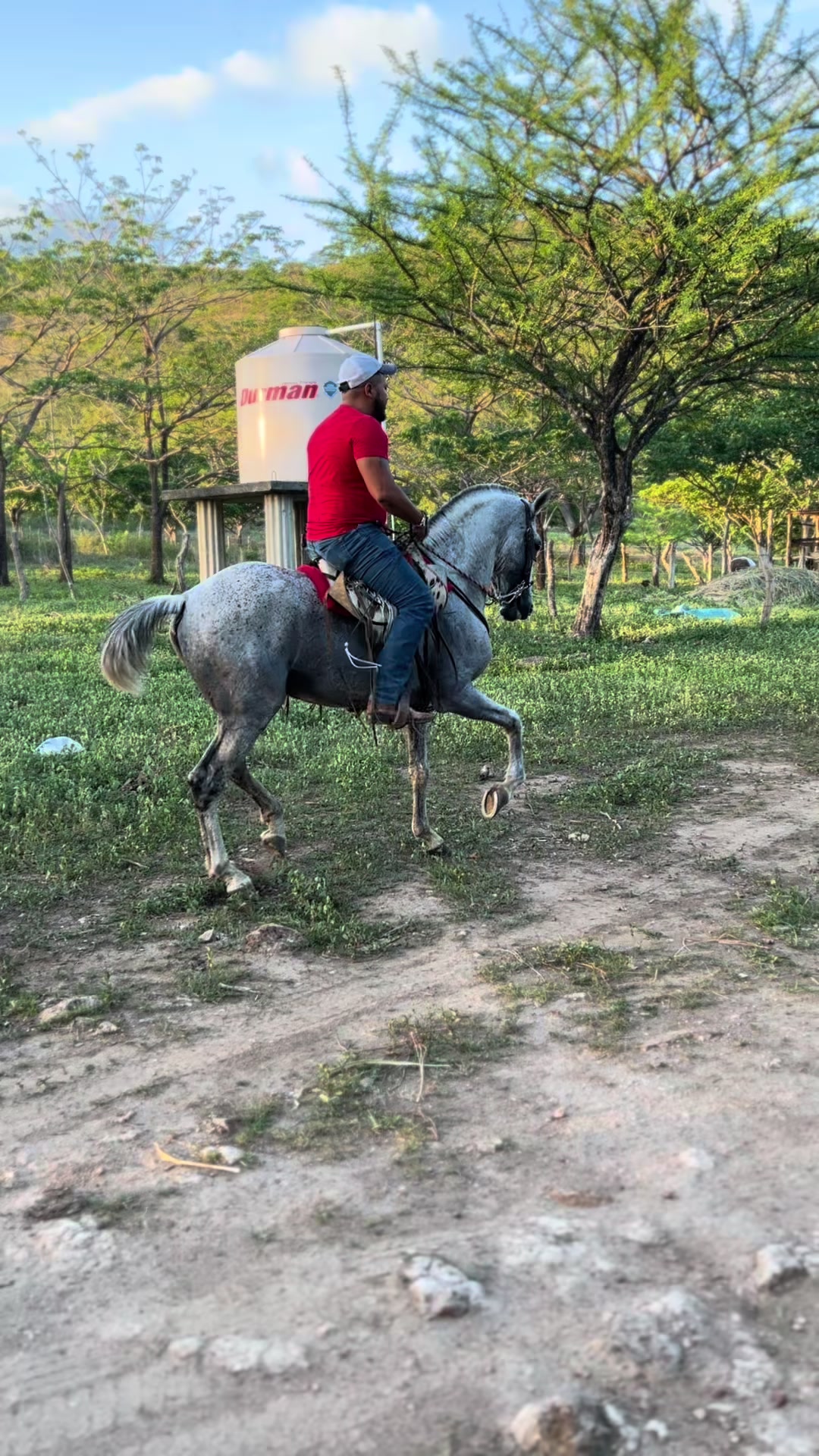 @Onell G. Henríquez