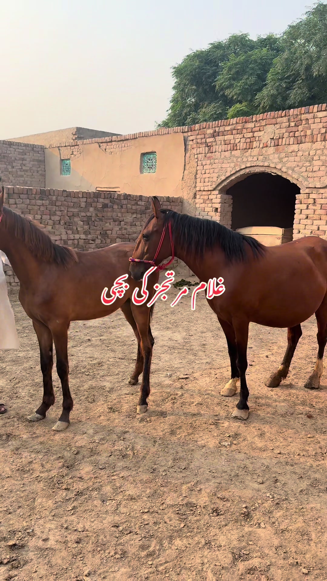 @Rai MUNAWAR SULTAN MANJ