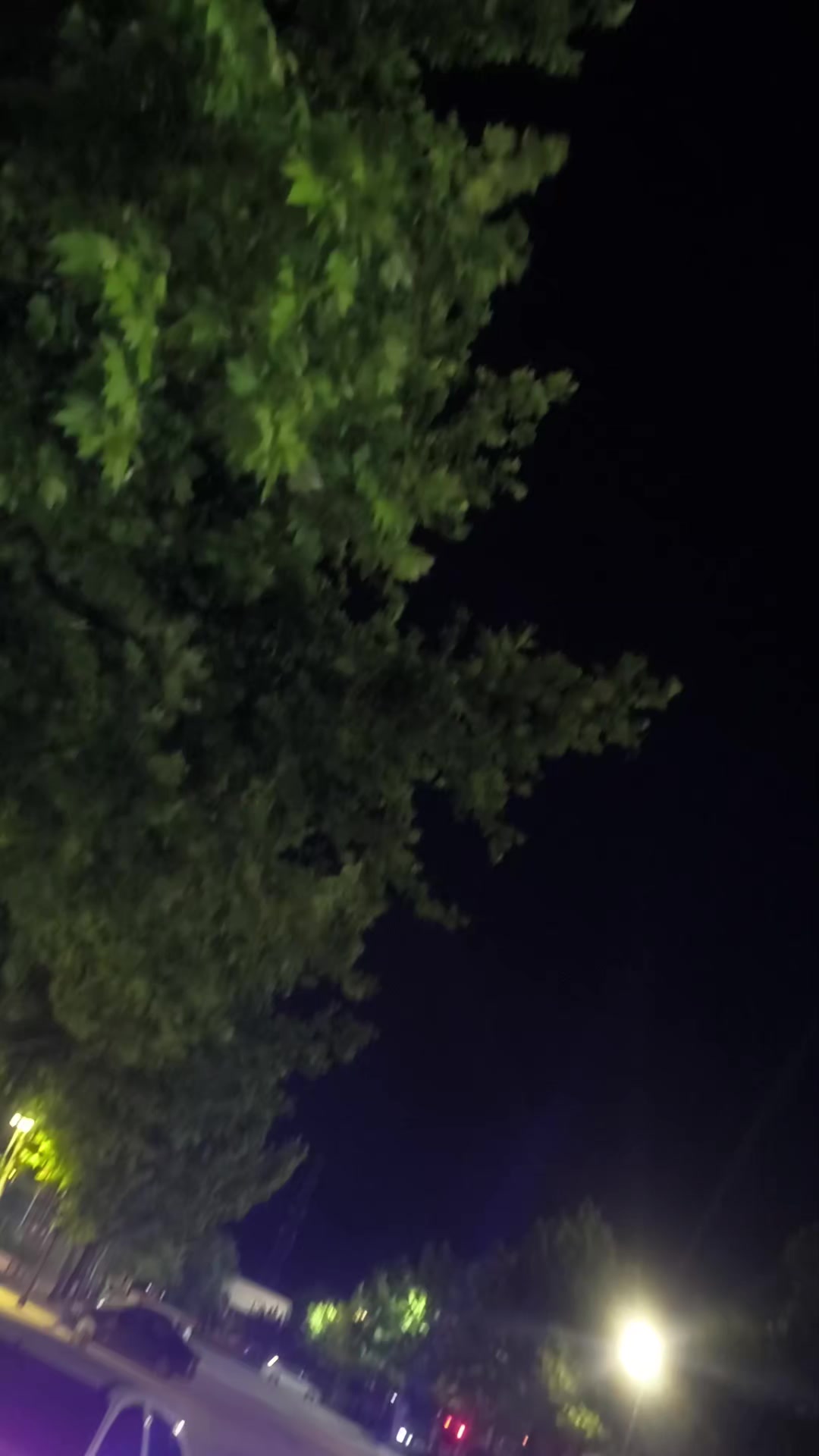 @ɴᴜʀɪ ᴀᴋʙᴏɢᴀ🗽