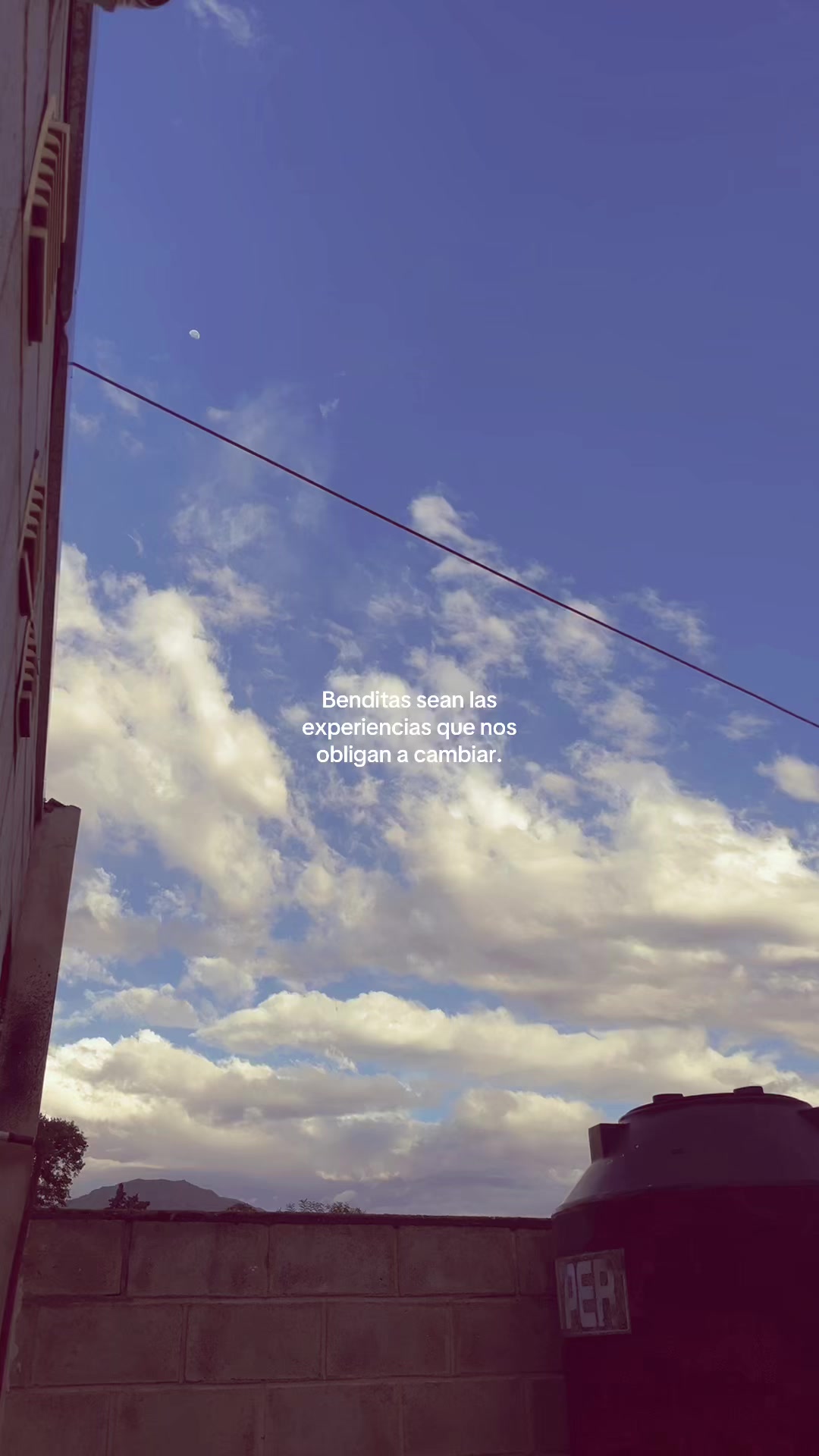 @Cami Perello | 🦋