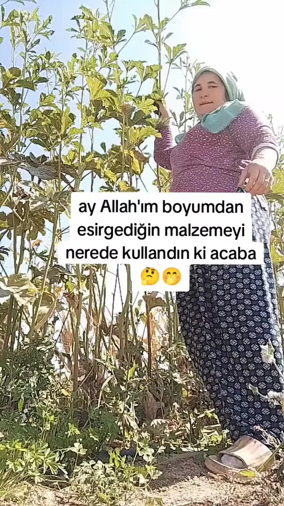 @🐏Y&Ouml;R&Uuml;K KIZI 🐏33.70