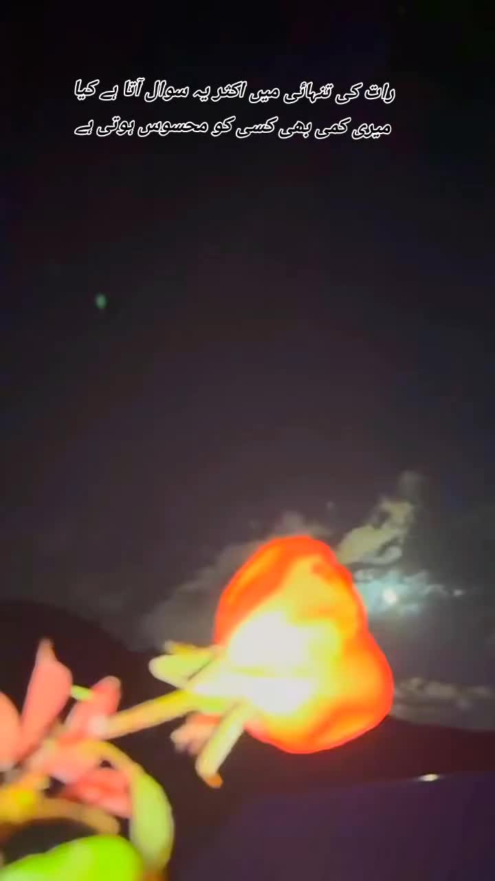 @💫❤️🔥دل کا بادشاہ❤️🔥💫