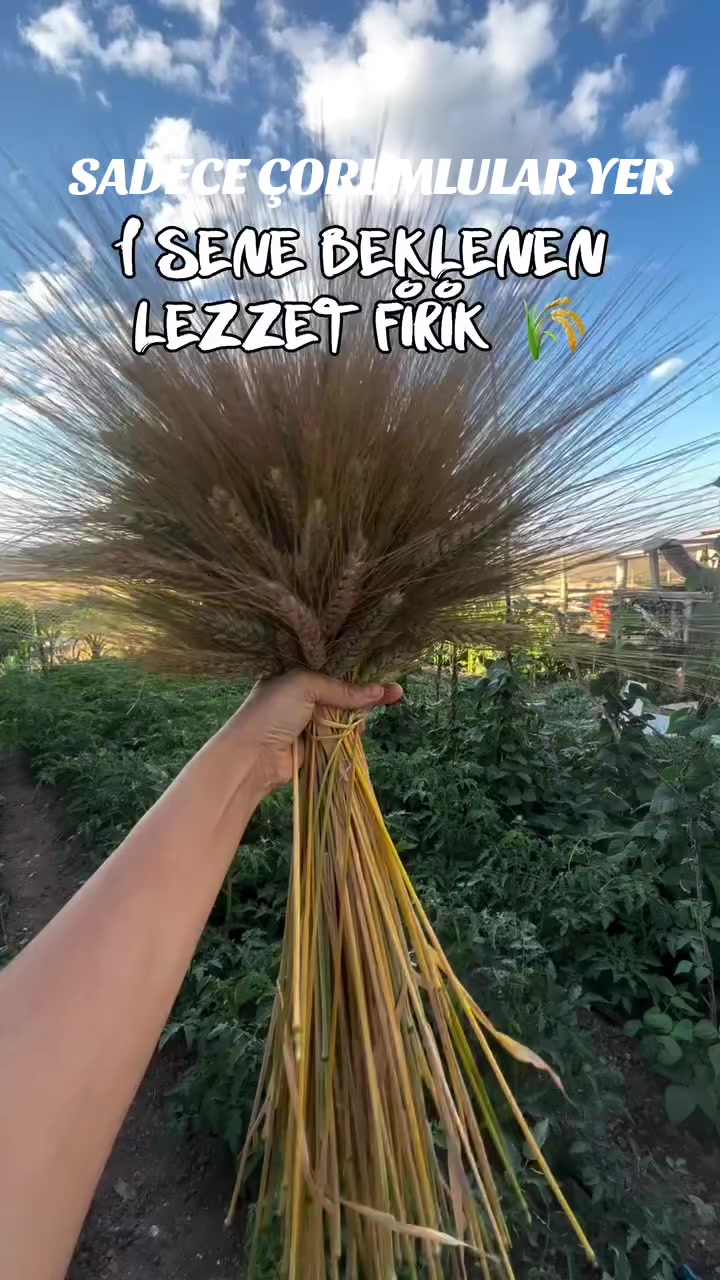@&Ccedil;ORUMLUYUZ