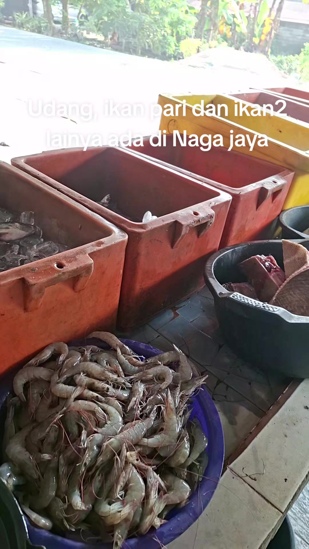 @Naga jaya