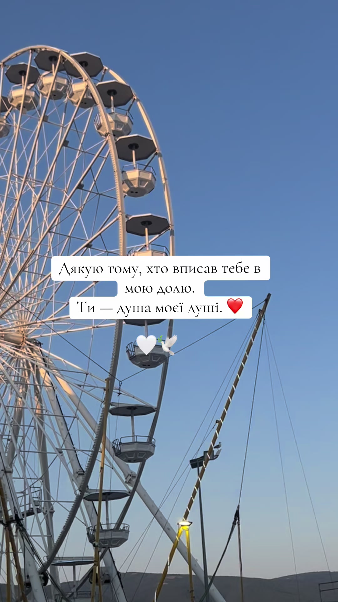 @🕊️🤍