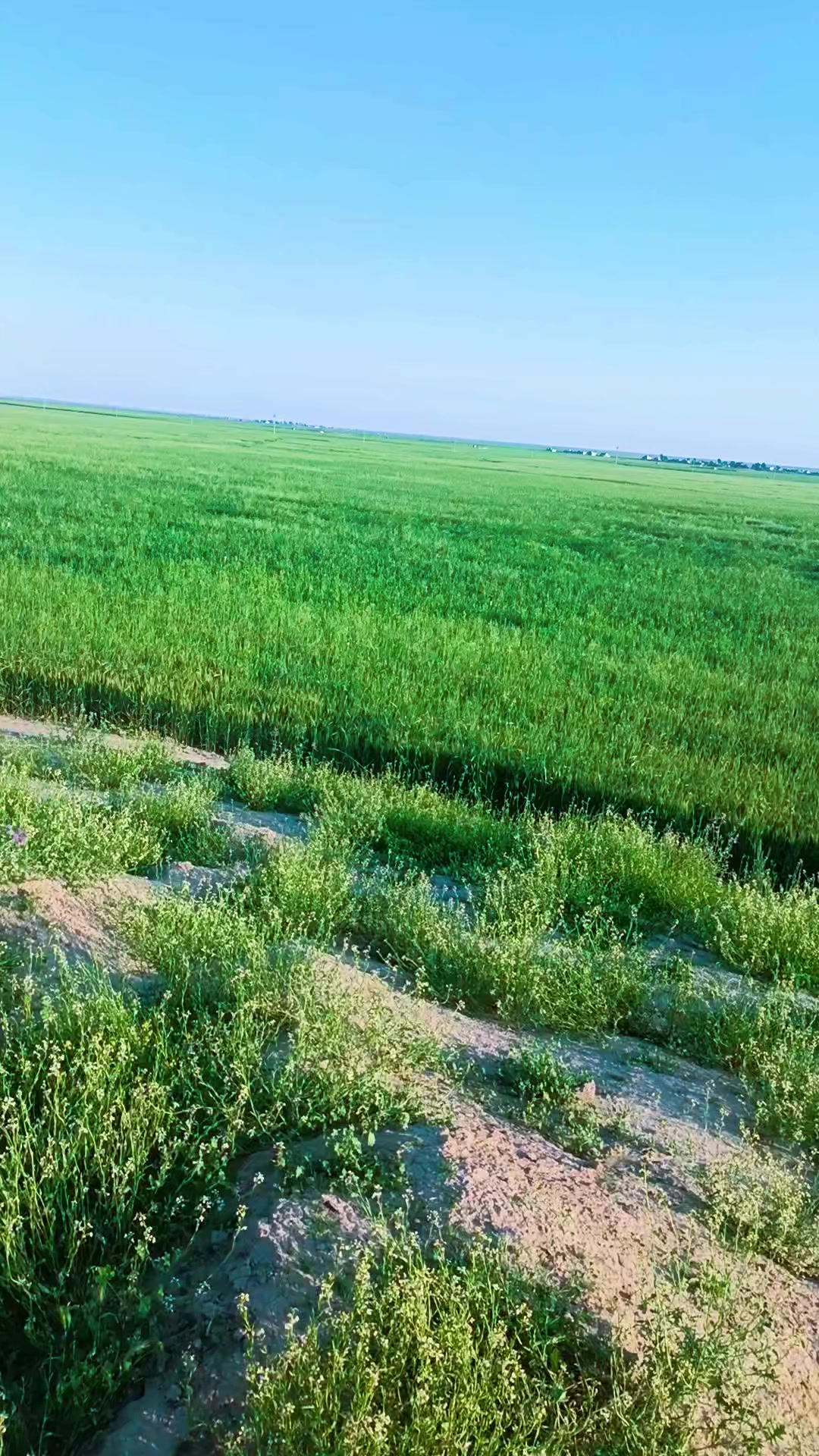 @خالد ابن العطيه