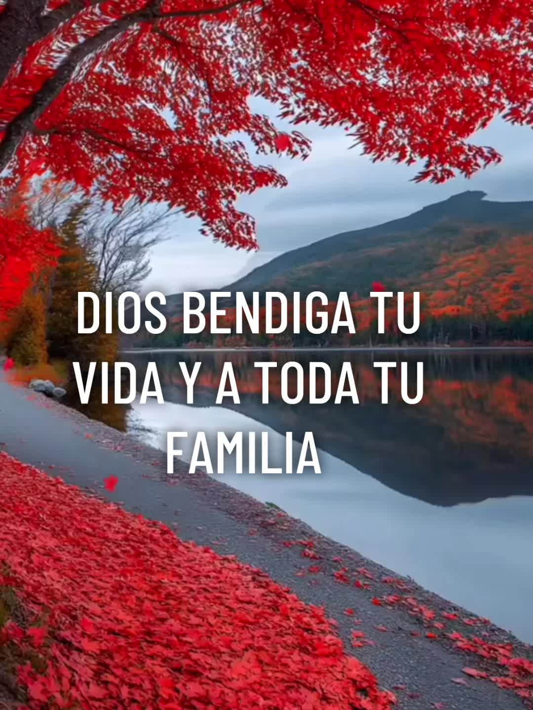 @Adelsomusicacristiana