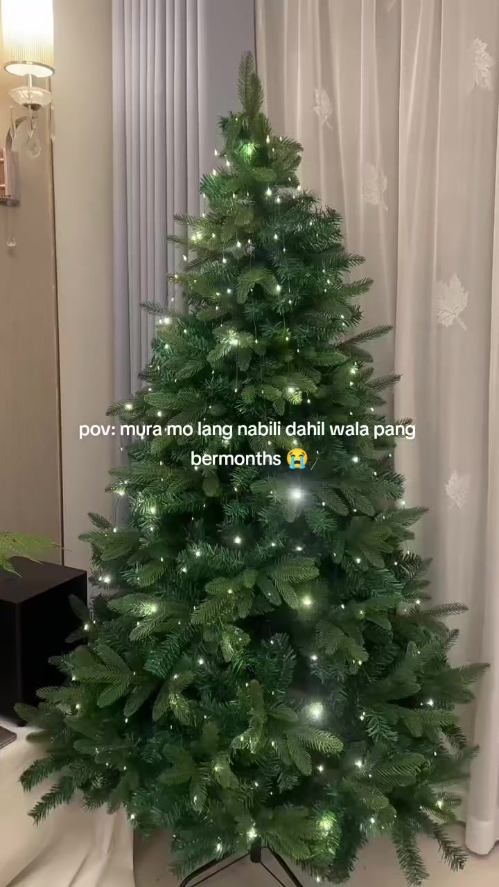 @Ms. Z&nbsp;۶ৎ˙