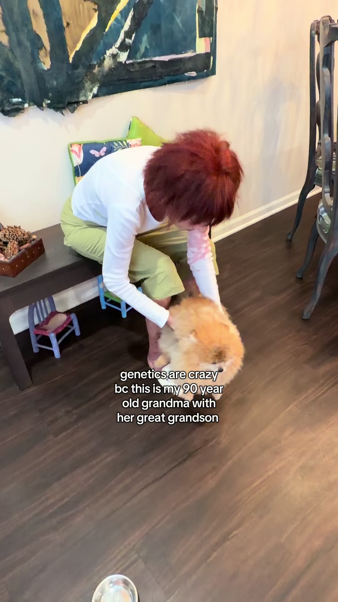@Keanu the Pomeranian