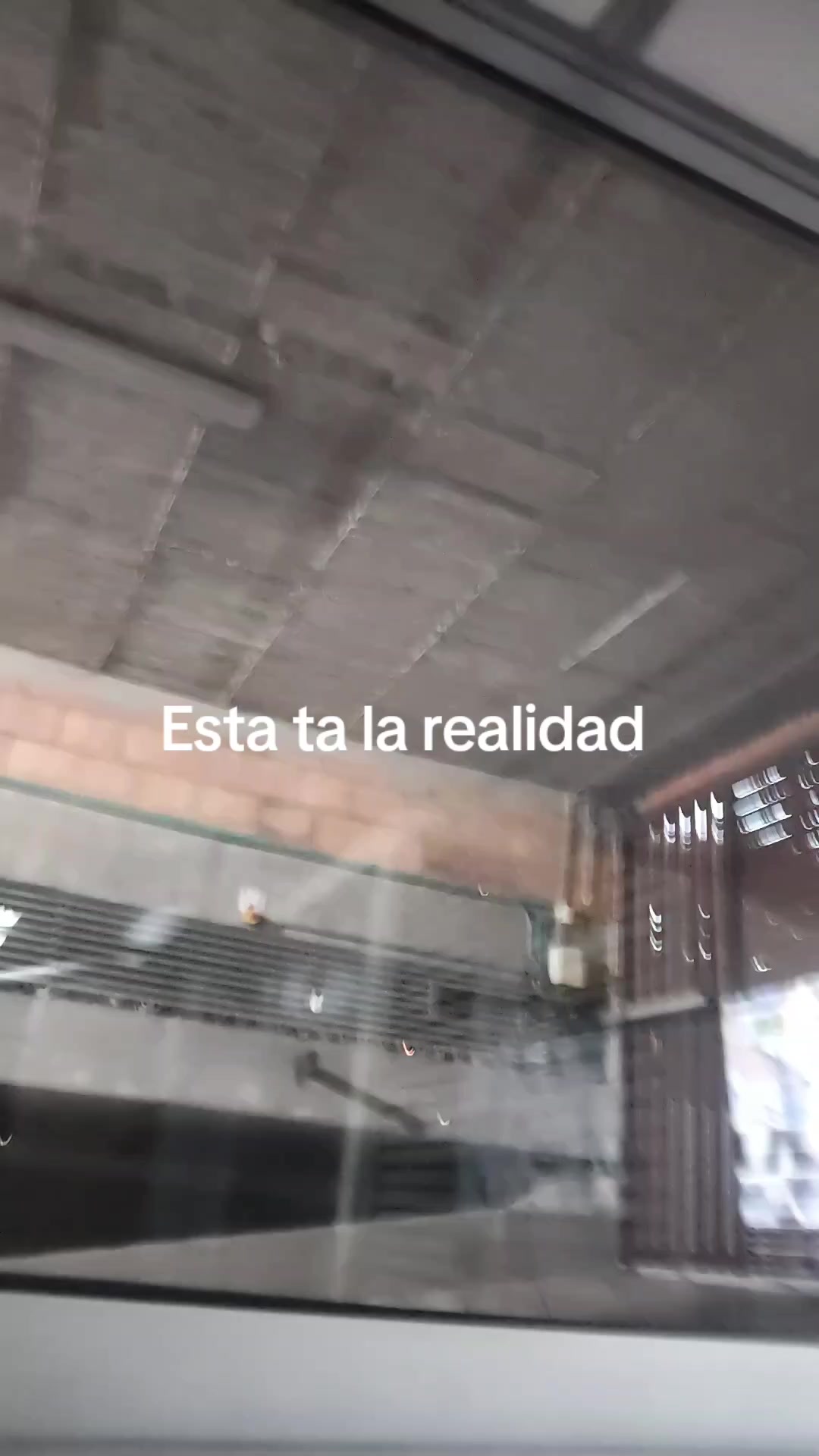 @el turpial del valle HM