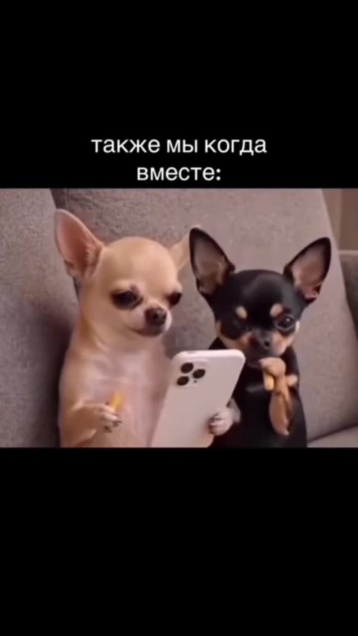 @ронни
