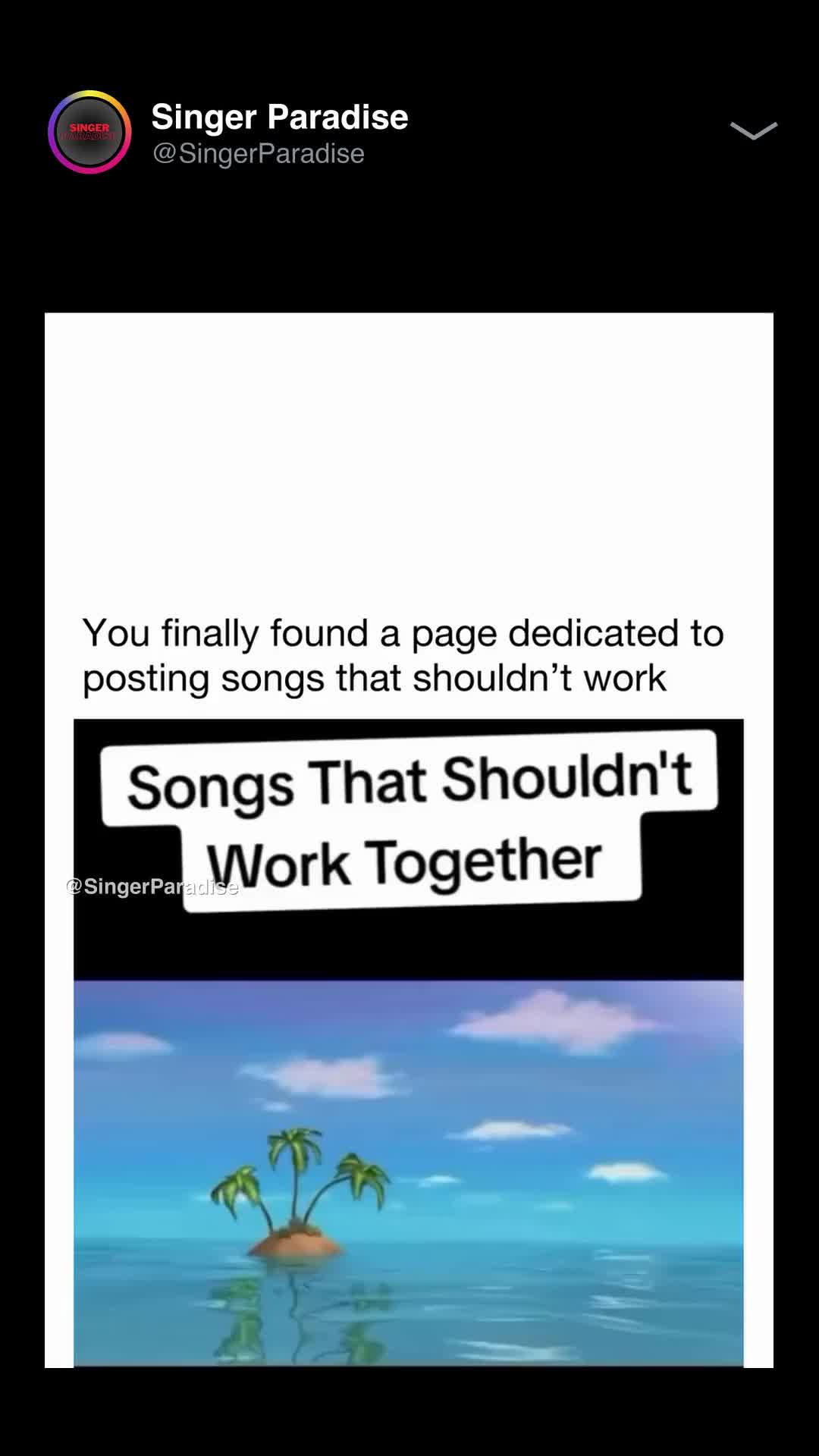 @singerparadise