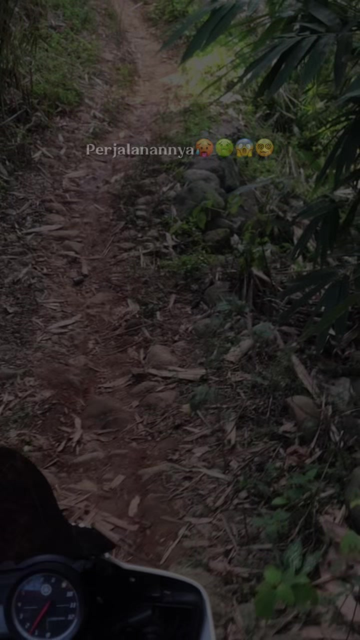 @Ivie12