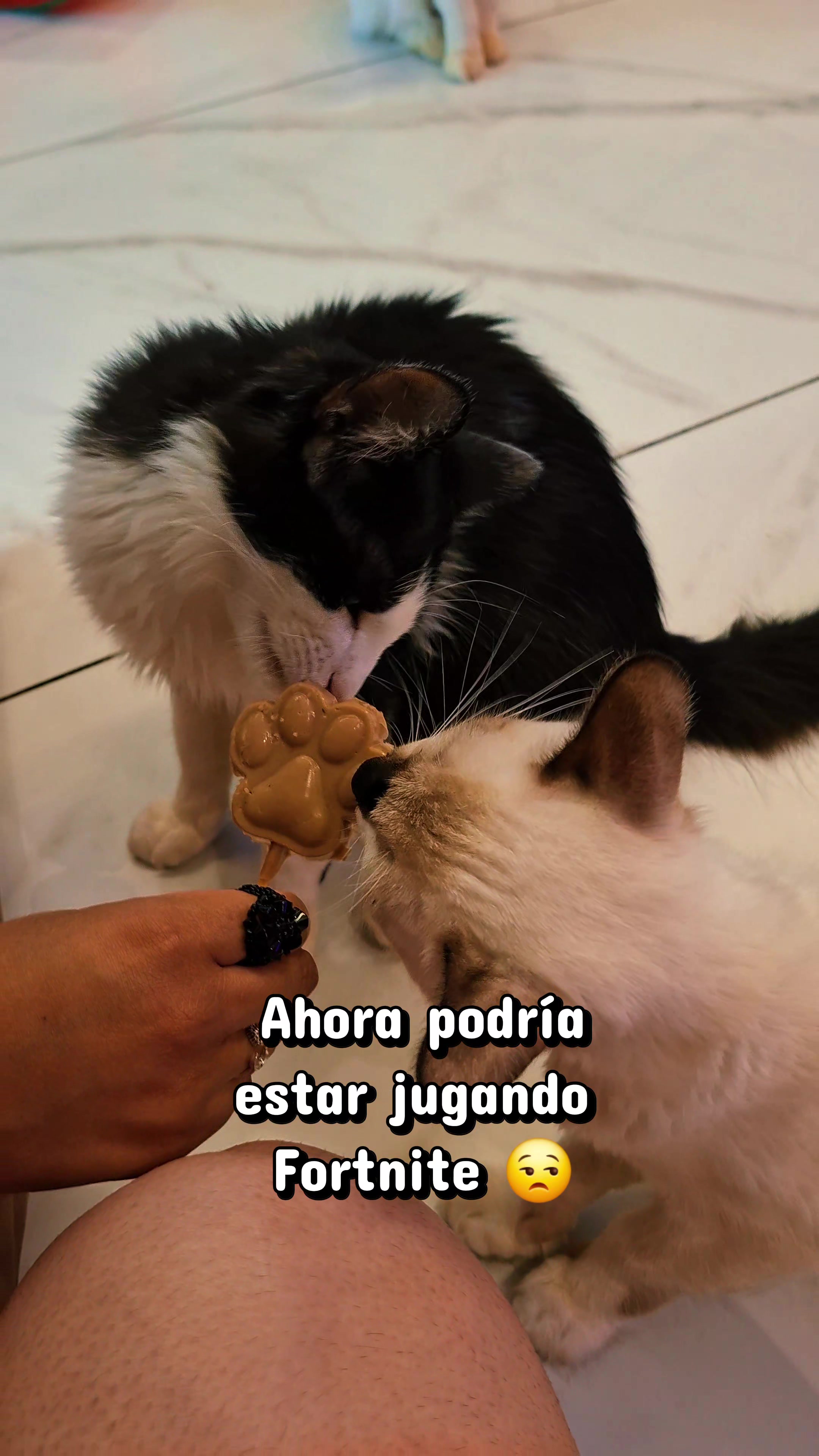 @Vicho