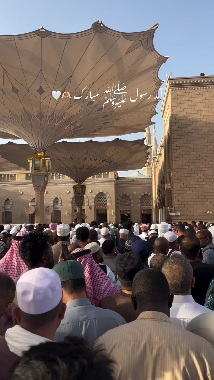 @noor.cp