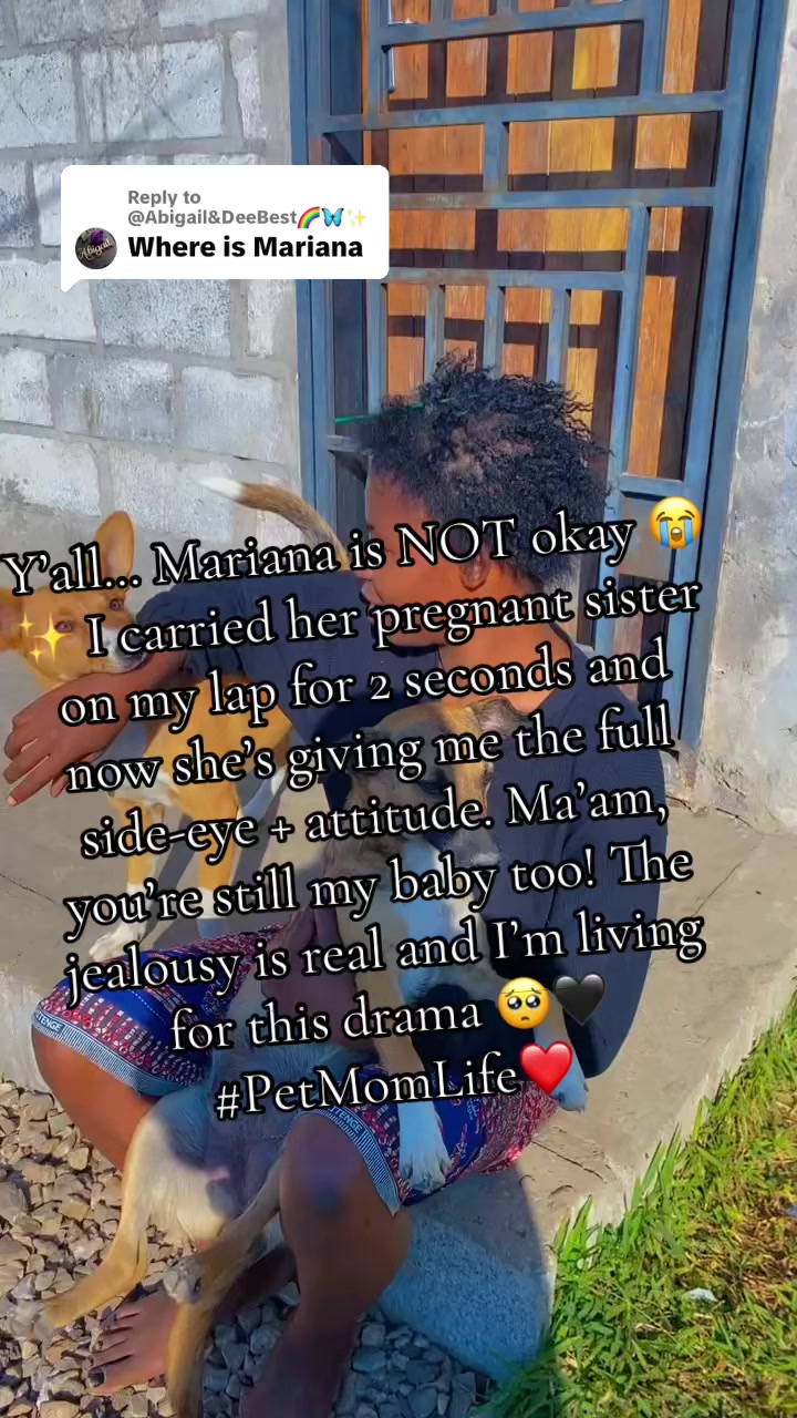 @𝐈𝐧𝐧𝐨𝐜𝐞𝐧𝐭𝐢𝐚🦋✝️🕊️💜