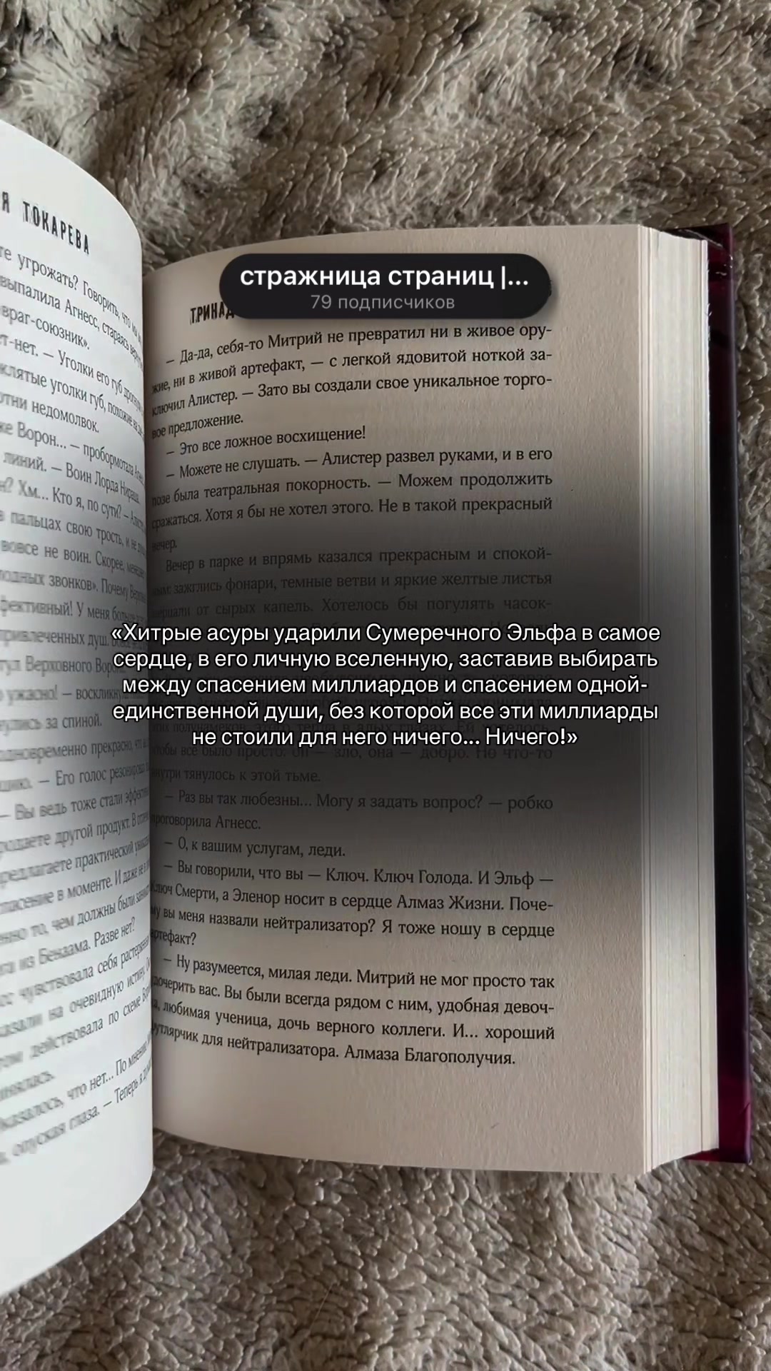 @Стражница страниц 📚