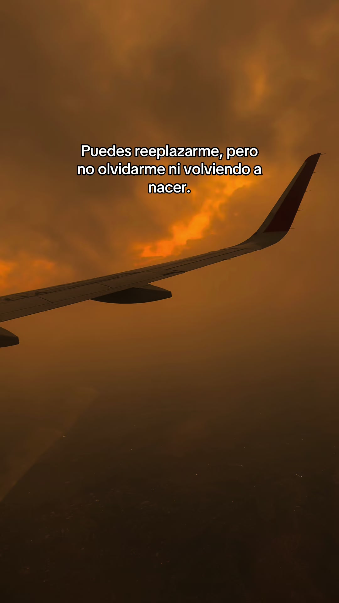 @🪬LuisEHerrera