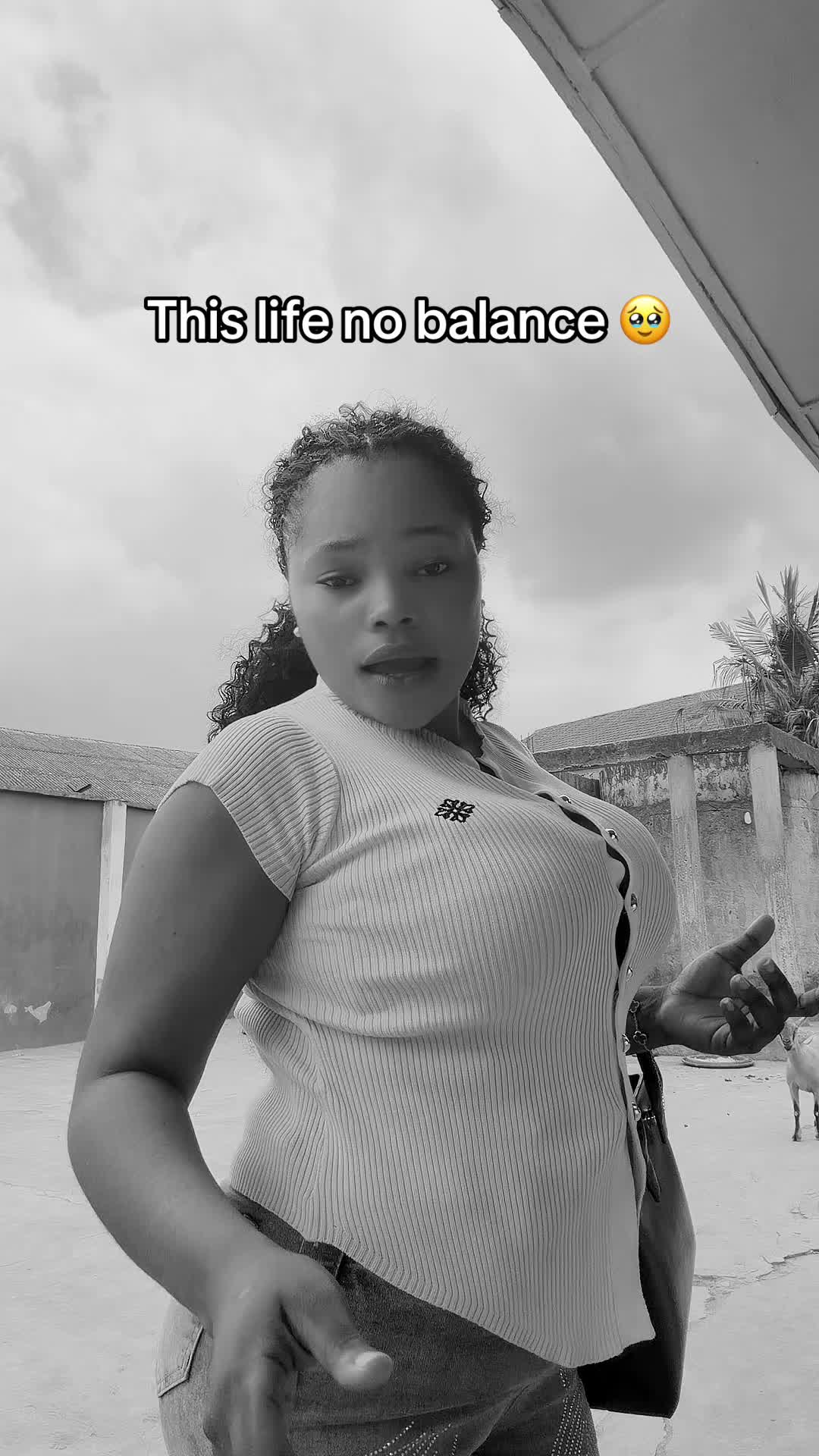 @ellelotto1