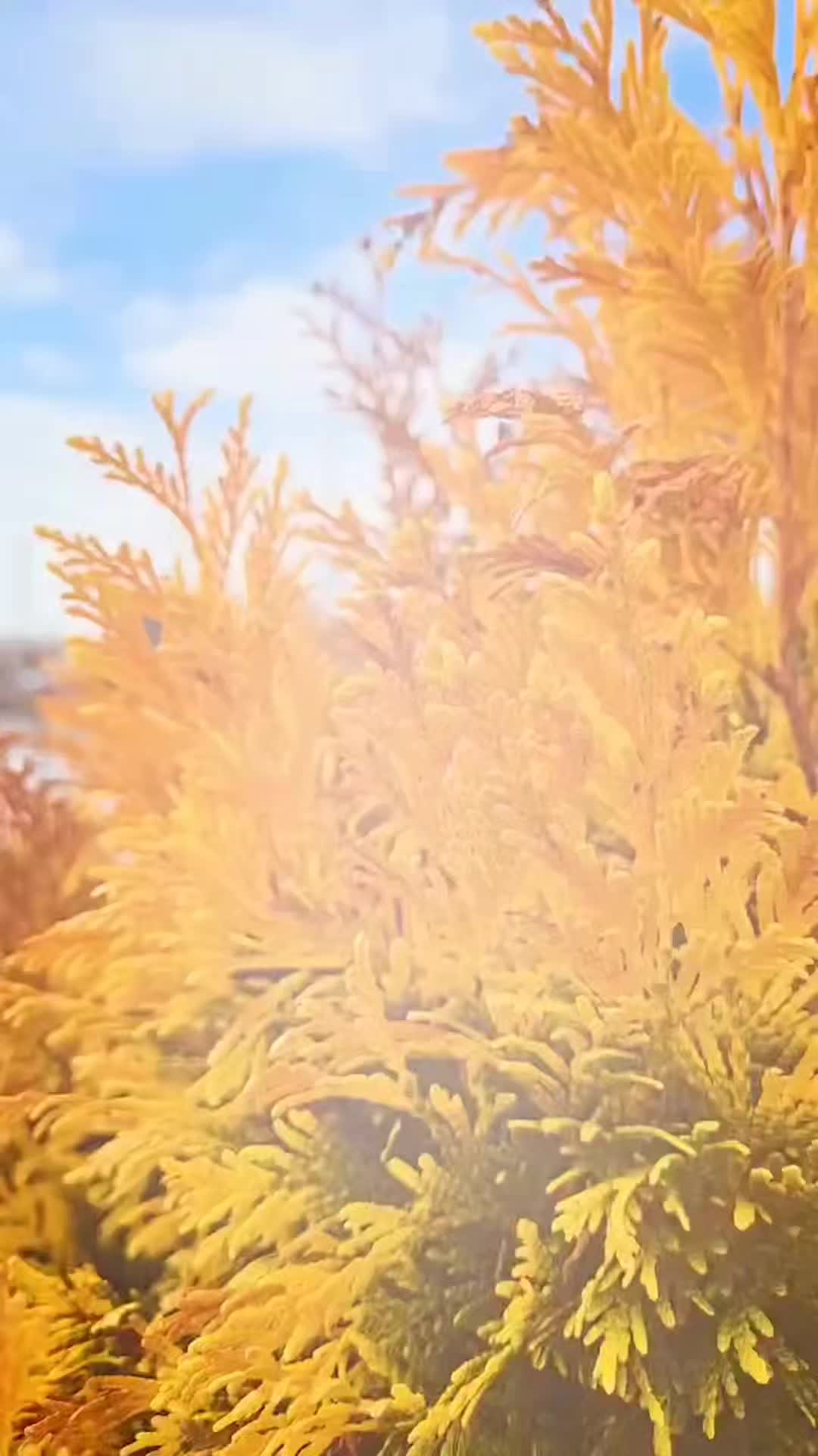 @NatureMan_Official_1