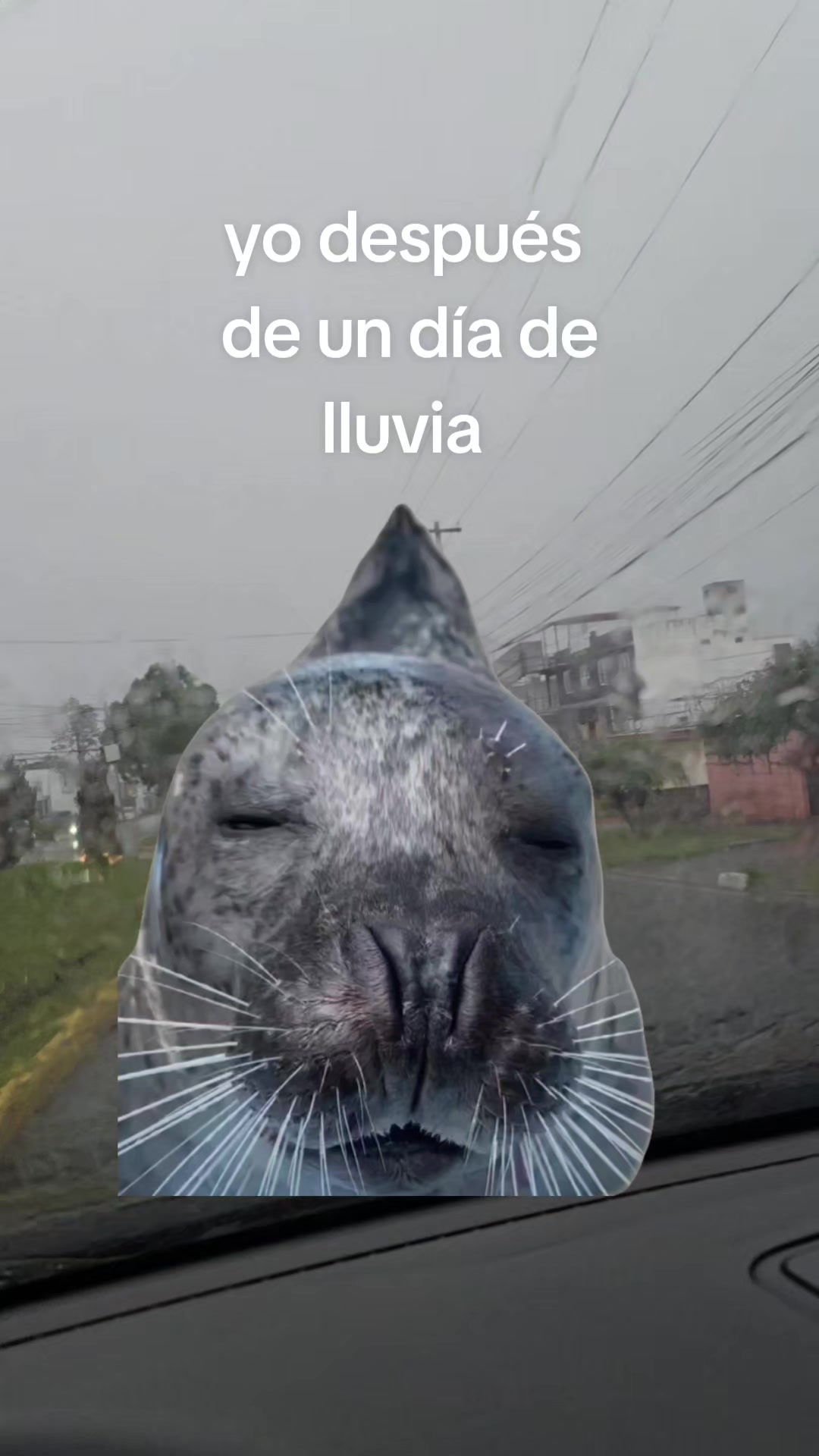 @Eddyrgm