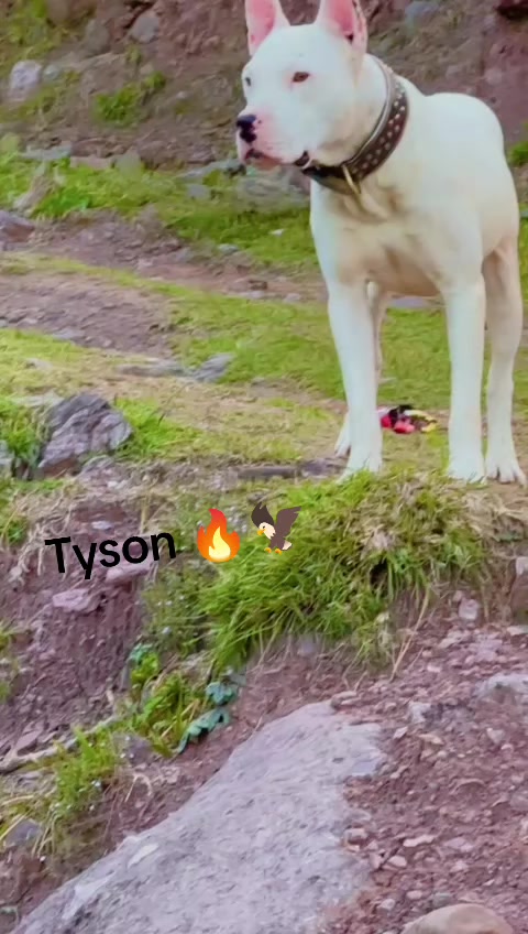 @topic_close
