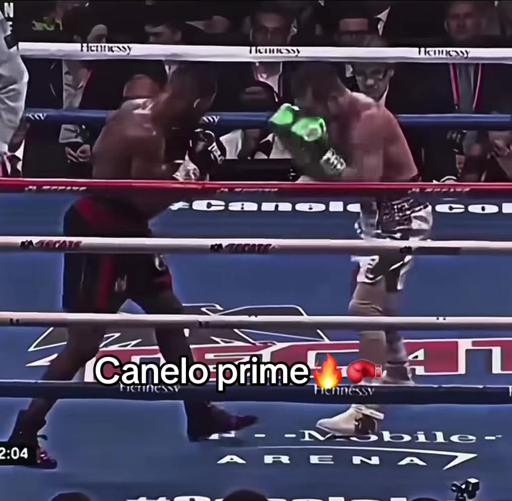 @Modesto nene jr🥊🔥