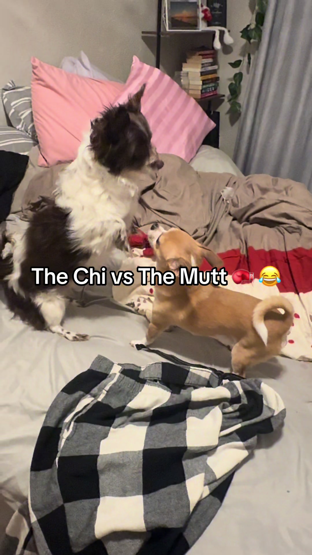 @jessthemess