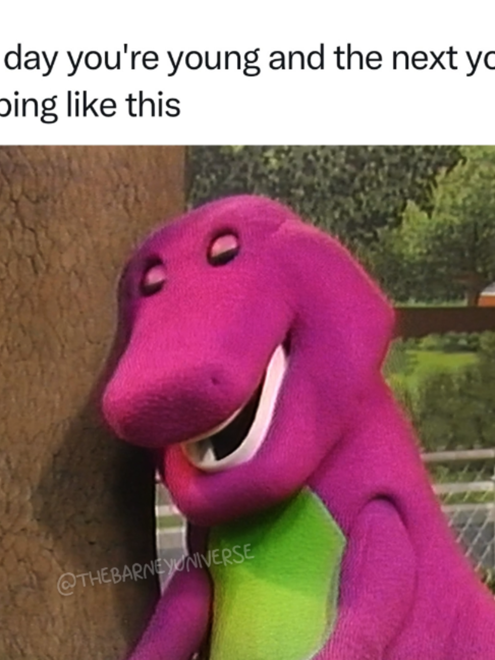 @The Barney Universe