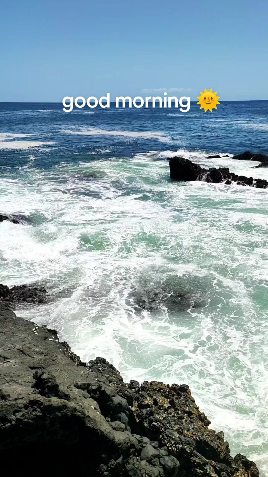 @Ms.Vine
