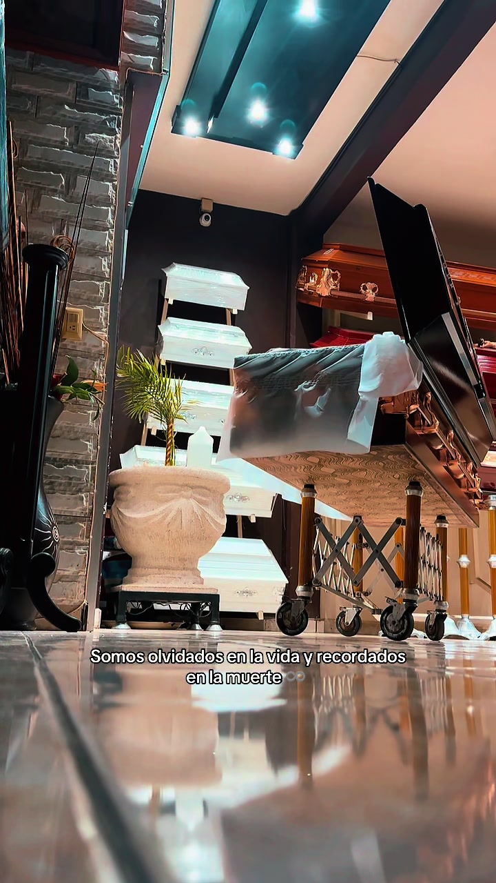 @@ReneJR🤤