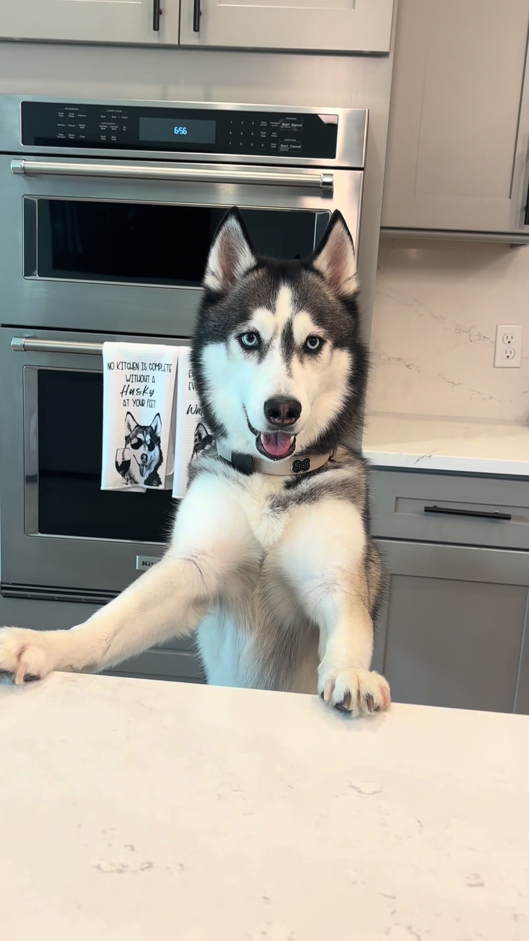 @lifewith2huskies