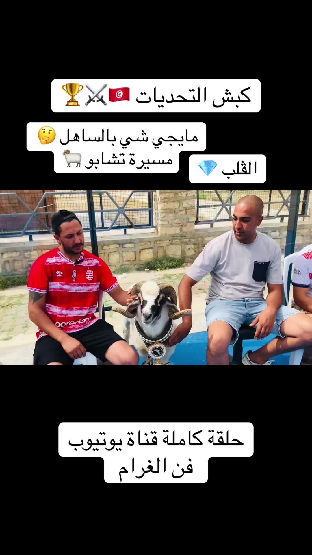 @سيف غرام زمان 🇹🇳