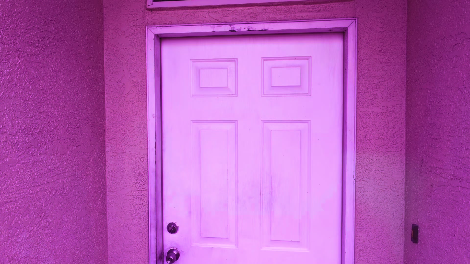 @Hoodieduke ๐ค๐พ