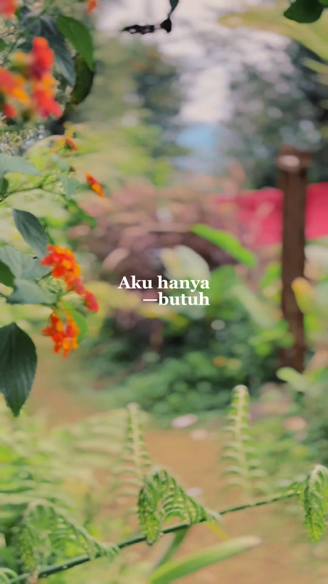 @Anggrek_Biru
