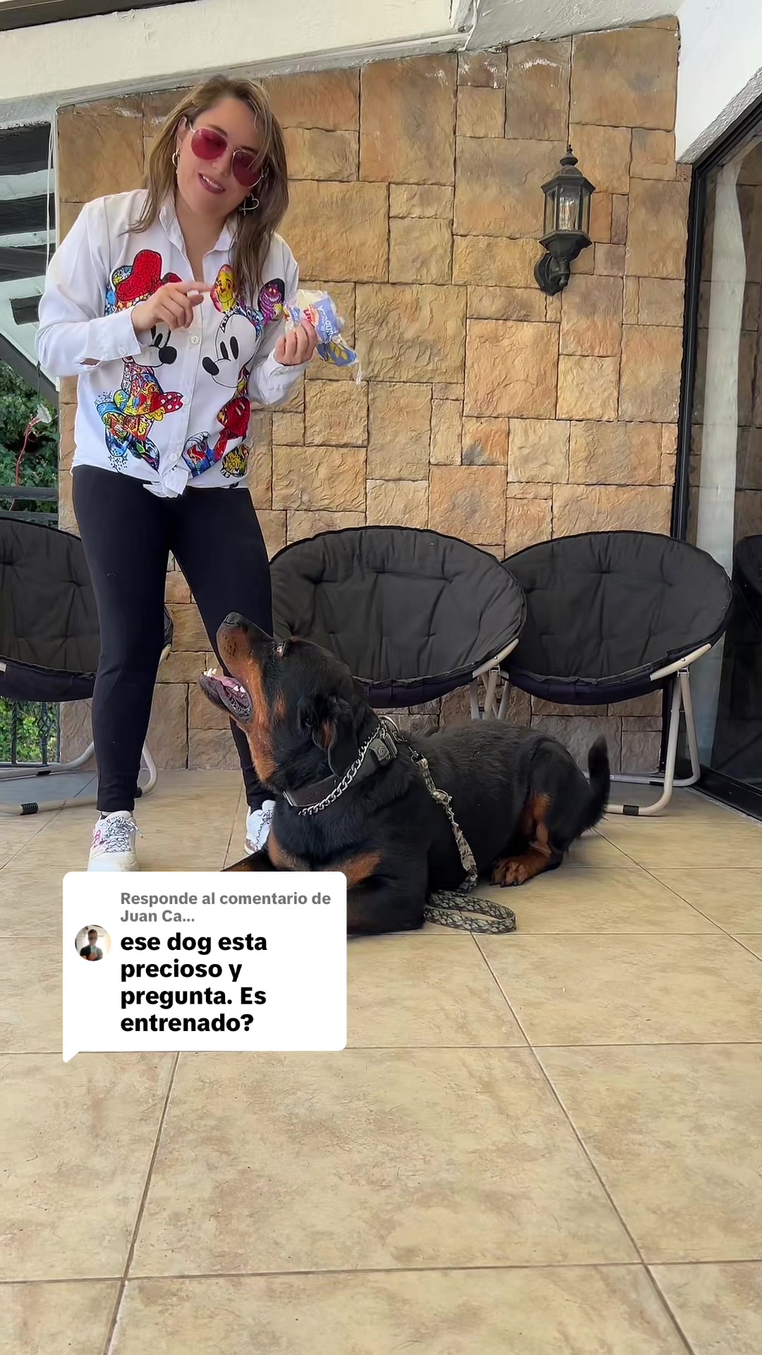 @I love DOGS