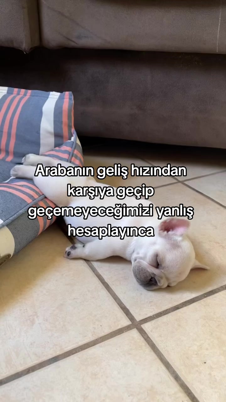 @rolland