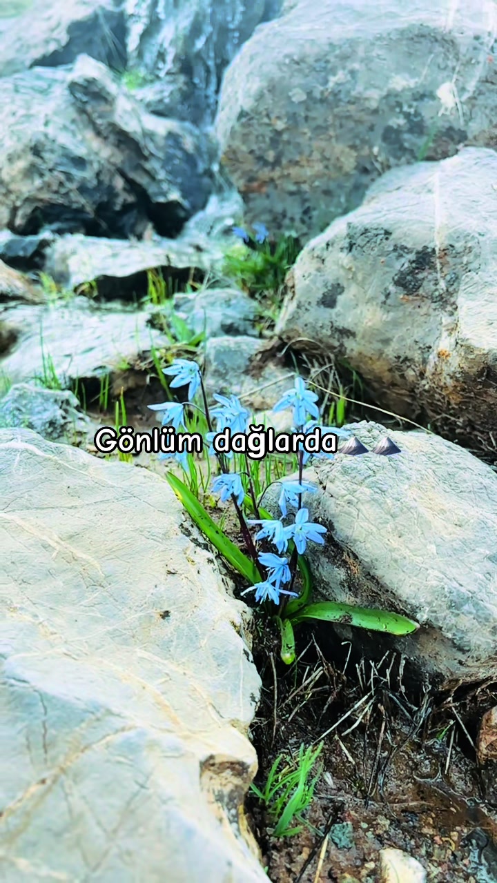 @Sunumcukendiçekimlerim