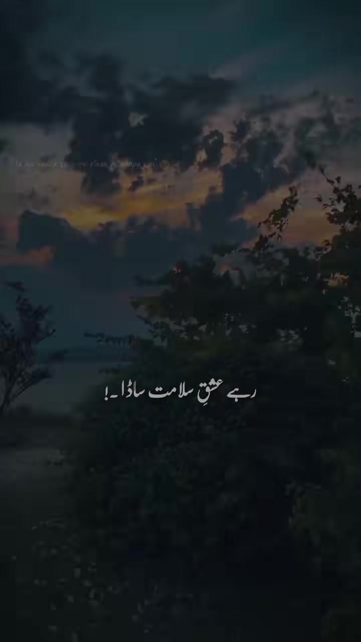 @#MR🇶🇦
